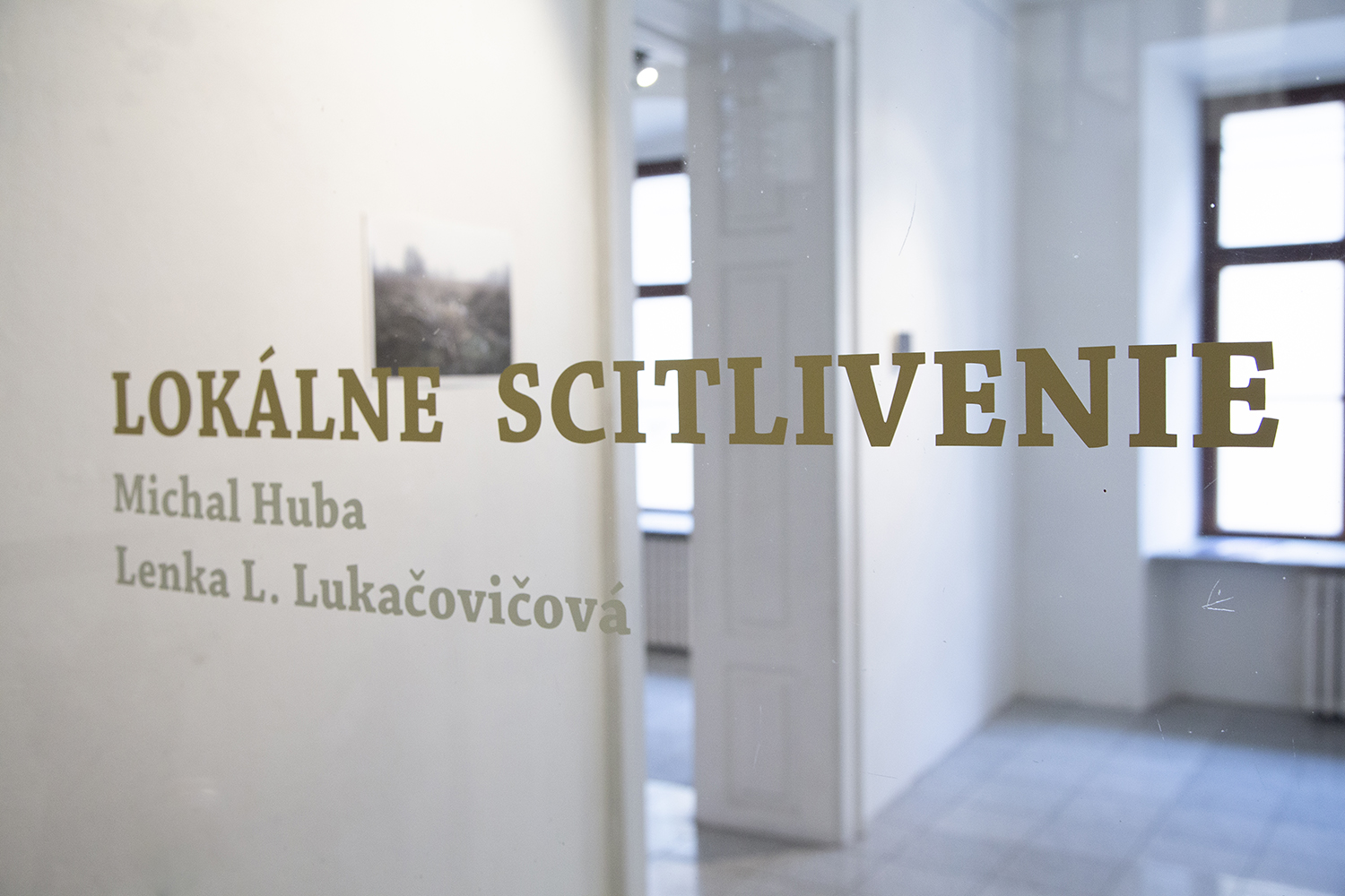 Lokálne scitlivenie / Lukačovičová, Huba